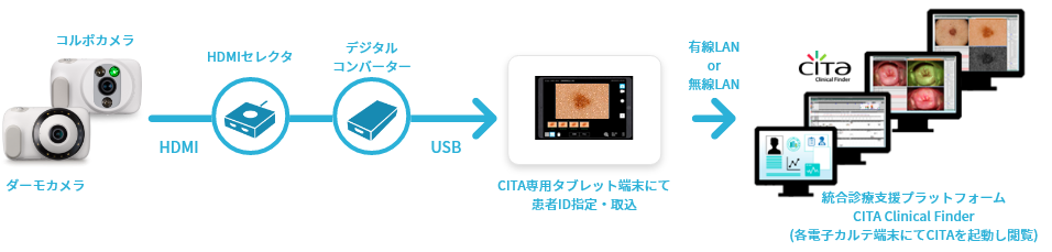 CITA Clinical Finder 連携図