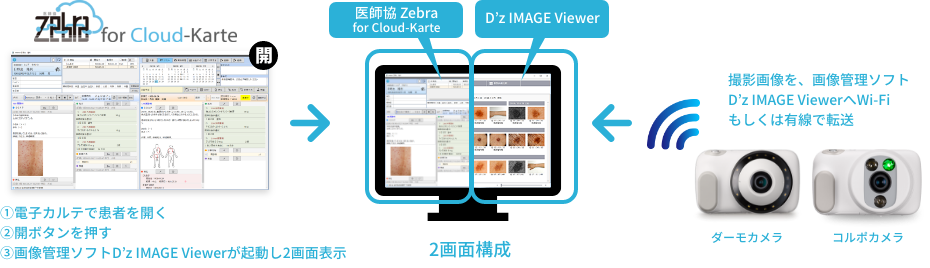 医師協Zebra連携図